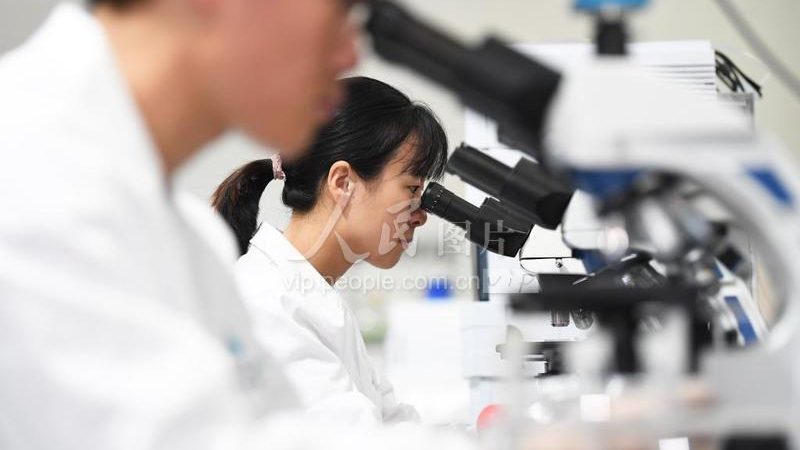 苏州生物CDMO公司，如何选择合适的合作伙伴？**