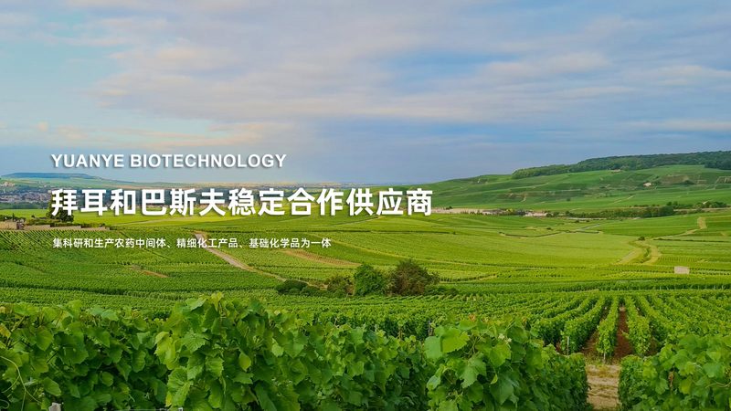 细胞工厂技术参数揭秘：揭秘细胞工厂参数表的奥秘**