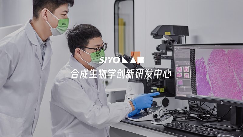 CDMO定制生产代理：揭秘医药研发背后的隐形力量