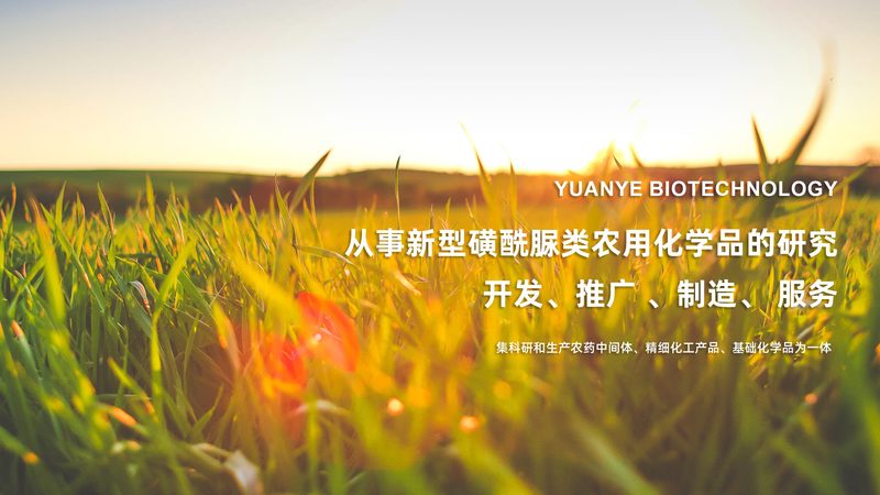 抗体生产厂家规模对比：揭秘行业格局与选择要点**