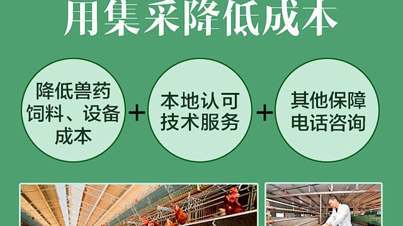 CDMO代工生产厂家排名背后的考量因素