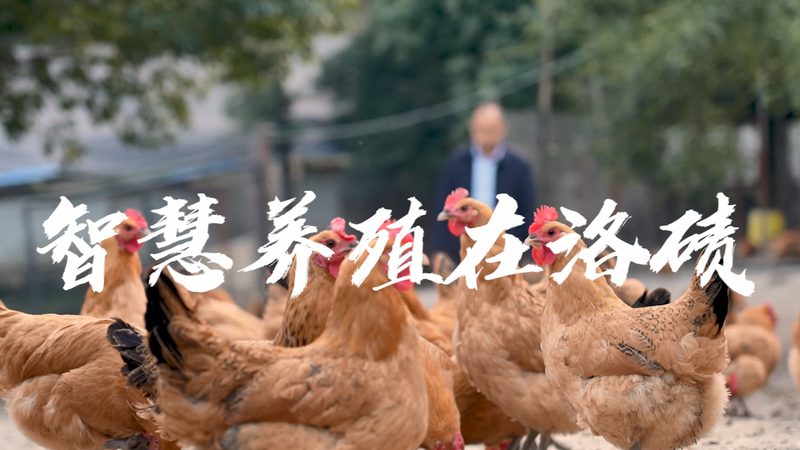 离心管防爆性能检测：规范与关键要点**