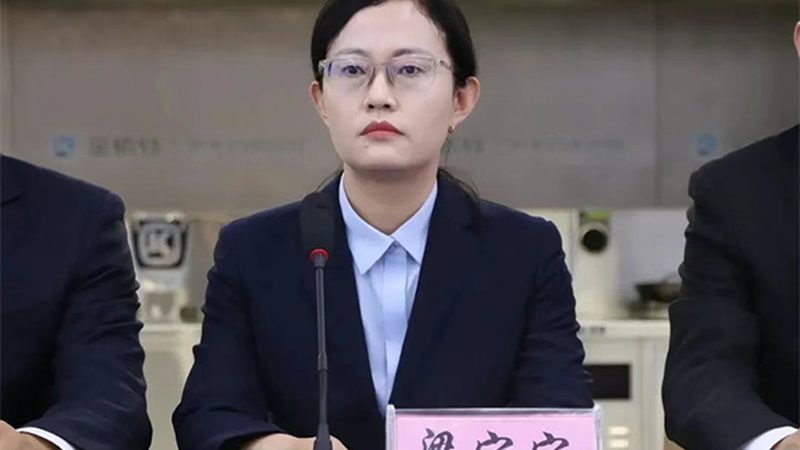细胞工厂：规模分类揭秘，构建高效生产链