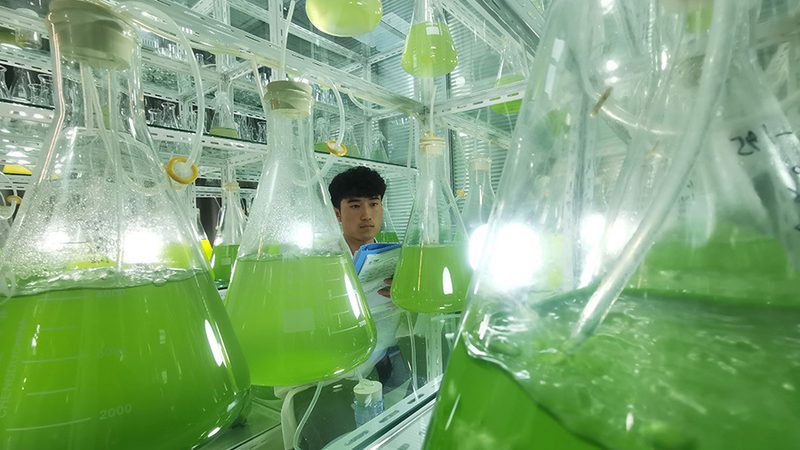 揭秘CRO代理加盟：费用构成与考量因素